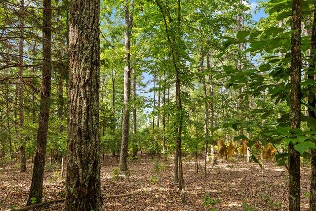 TRACT18 Old Harris Turnpike Rd, South Pittsburg, TN 37380