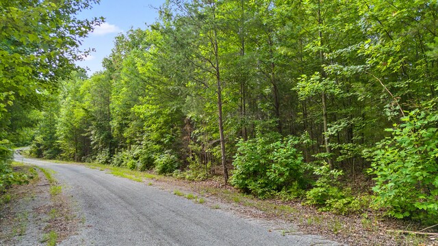 TRACT18 Old Harris Turnpike Rd, South Pittsburg, TN 37380