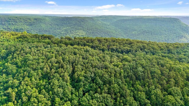 TRACT18 Old Harris Turnpike Rd, South Pittsburg, TN 37380