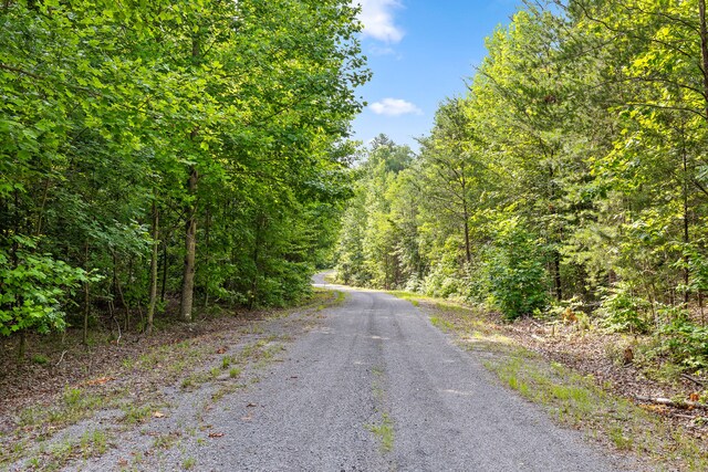 TRACT18 Old Harris Turnpike Rd, South Pittsburg, TN 37380
