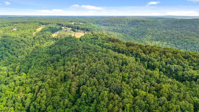 TRACT18 Old Harris Turnpike Rd, South Pittsburg, TN 37380