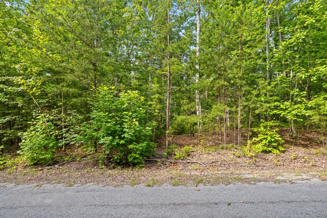 TRACT18 Old Harris Turnpike Rd, South Pittsburg, TN 37380