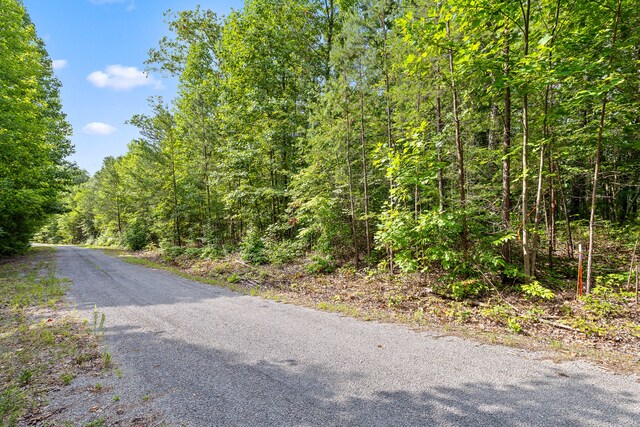 TRACT18 Old Harris Turnpike Rd, South Pittsburg, TN 37380