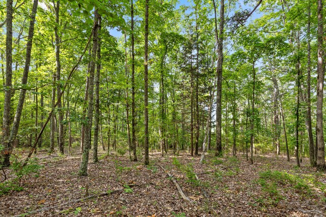TRACT18 Old Harris Turnpike Rd, South Pittsburg, TN 37380