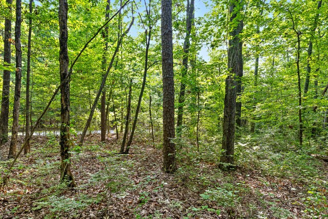 TRACT18 Old Harris Turnpike Rd, South Pittsburg, TN 37380