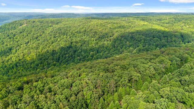 TRACT18 Old Harris Turnpike Rd, South Pittsburg, TN 37380
