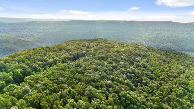 TRACT18 Old Harris Turnpike Rd, South Pittsburg, TN 37380