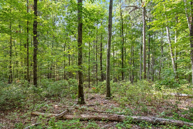 TRACT18 Old Harris Turnpike Rd, South Pittsburg, TN 37380