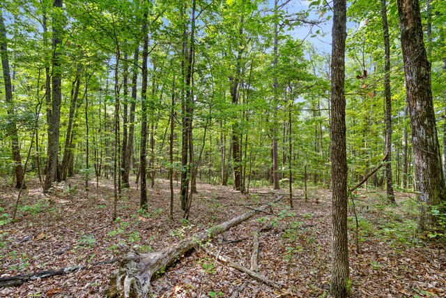 TRACT18 Old Harris Turnpike Rd, South Pittsburg, TN 37380