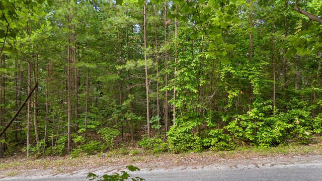 TRACT18 Old Harris Turnpike Rd, South Pittsburg, TN 37380