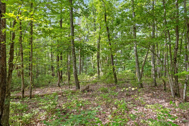 TRACT18 Old Harris Turnpike Rd, South Pittsburg, TN 37380