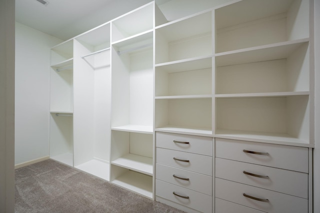 spacious closet with light colored carpet