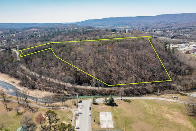 000 New Lake Rd, Spring City TN, 37381 land for sale