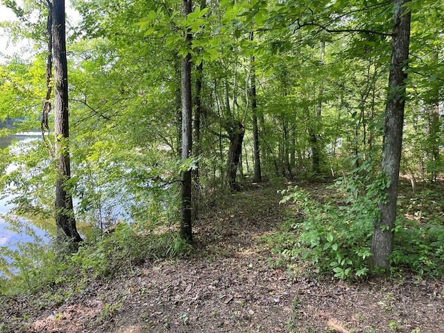 LOT6 Melrose Pl, Dayton, TN 37321 - photo 4