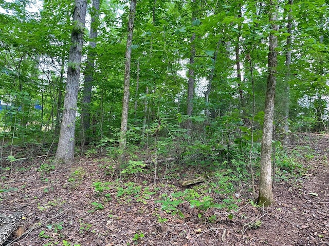 LOT6 Melrose Pl, Dayton, TN 37321 - photo 2