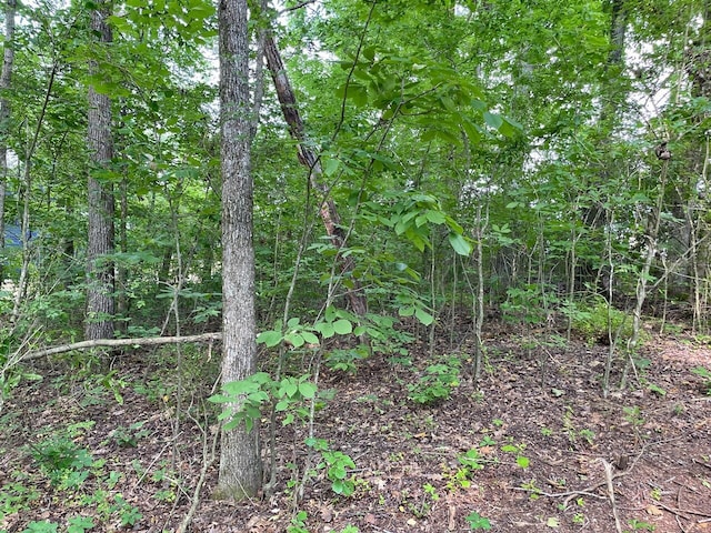 LOT6 Melrose Pl, Dayton, TN 37321 - photo 7