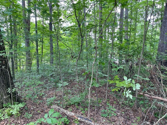 LOT6 Melrose Pl, Dayton, TN 37321 - photo 1