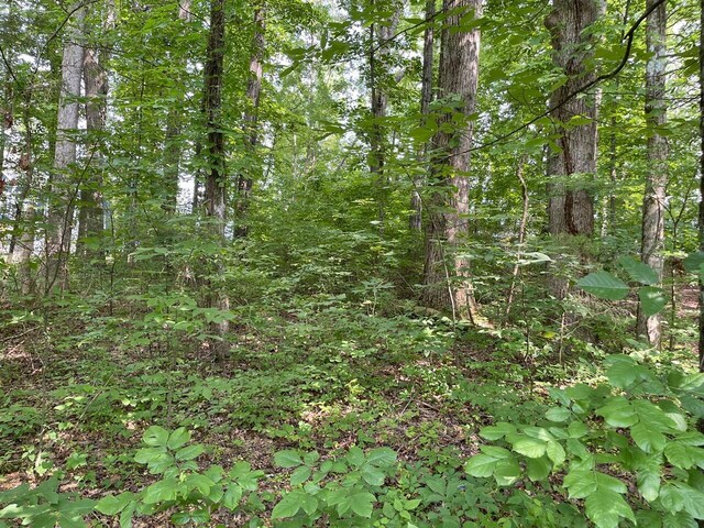 LOT6 Melrose Pl, Dayton, TN 37321 - photo 5
