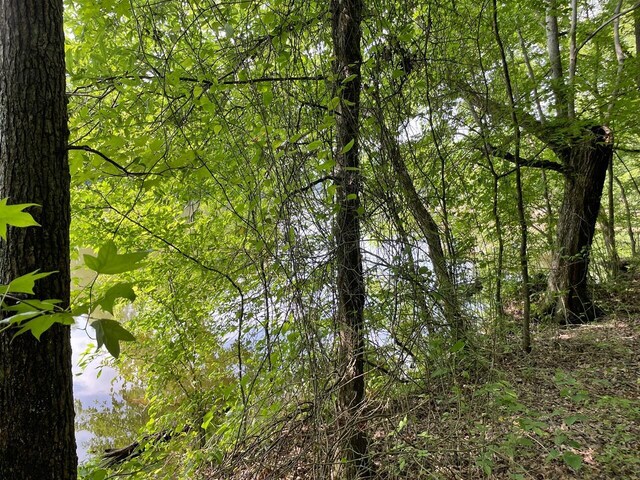 LOT6 Melrose Pl, Dayton, TN 37321 - photo 6