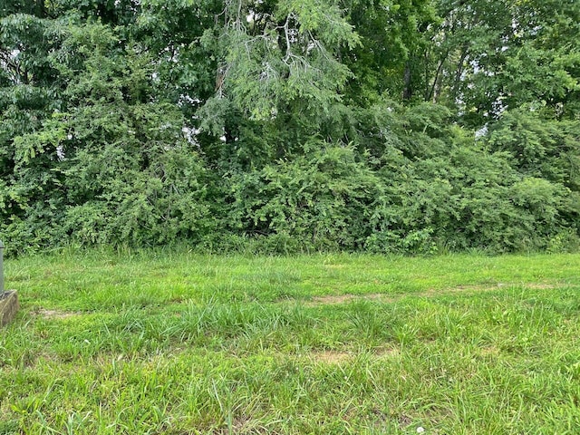 LOT6 Melrose Pl, Dayton, TN 37321 - photo 9