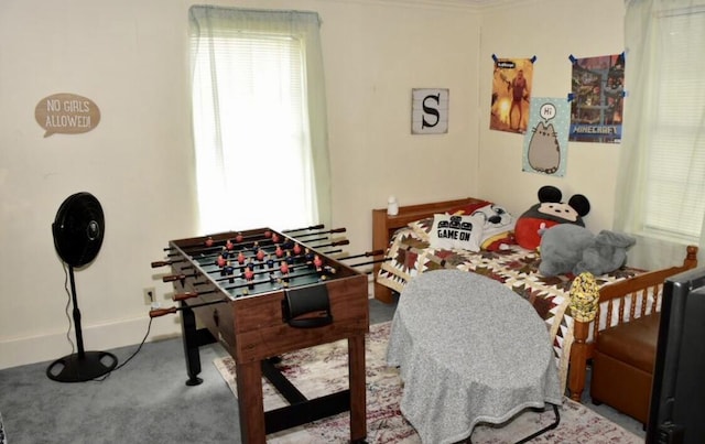 playroom with carpet floors