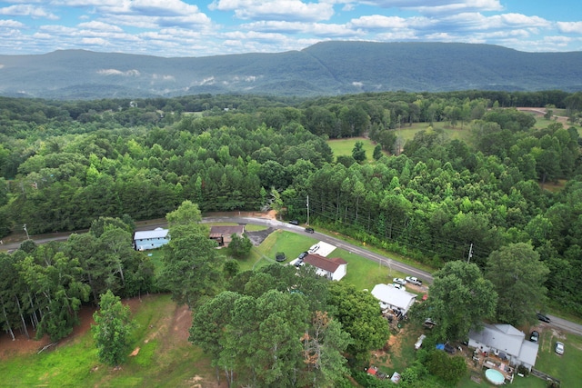 4041 N Marble Top Rd, Chickamauga, GA 30707 - photo 35