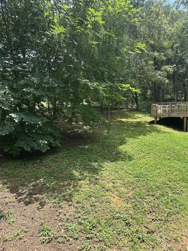 129 Pinecrest Dr, Cleveland, TN 37323 - photo 31