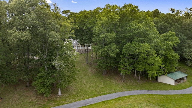 681 Pinhook Rd, Calhoun, TN 37309 - drone / aerial view of a heavily wooded area
