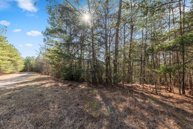 LOT19 Skyline Dr, Turtletown, TN 37391 - photo 24