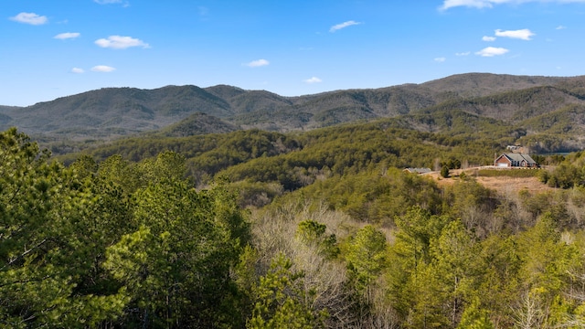 LOT19 Skyline Dr, Turtletown, TN 37391 - photo 16