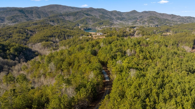 LOT19 Skyline Dr, Turtletown, TN 37391 - photo 13