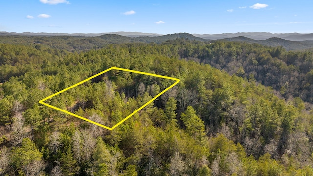 LOT19 Skyline Dr, Turtletown, TN 37391 - photo 8