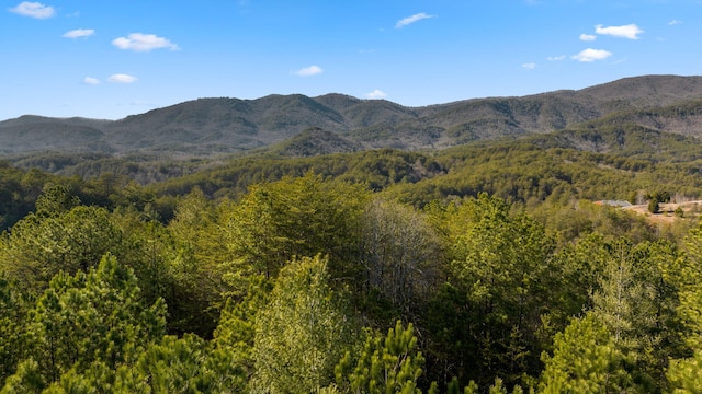 LOT19 Skyline Dr, Turtletown, TN 37391 - photo 14