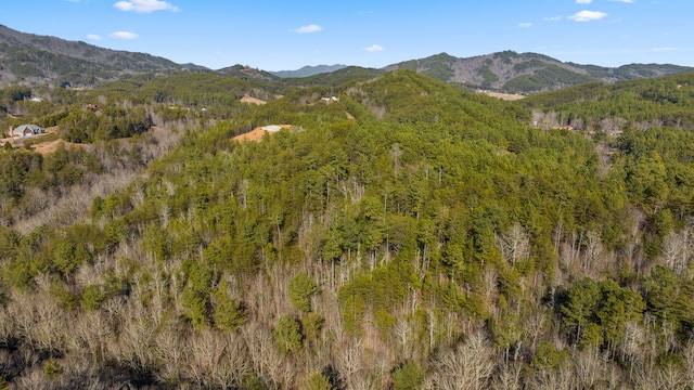 LOT19 Skyline Dr, Turtletown, TN 37391 - photo 11