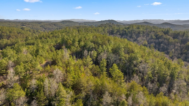 LOT19 Skyline Dr, Turtletown, TN 37391 - photo 7
