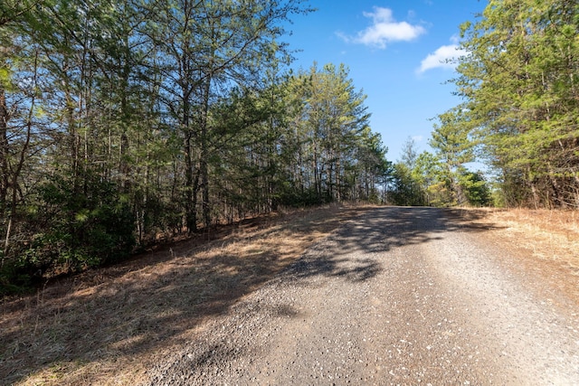 LOT19 Skyline Dr, Turtletown, TN 37391 - photo 22