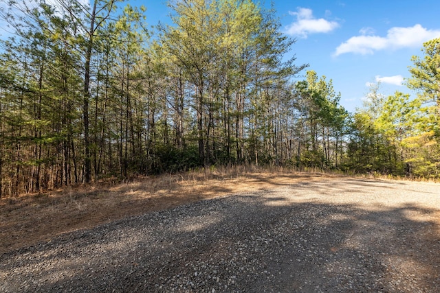 LOT19 Skyline Dr, Turtletown, TN 37391 - photo 21