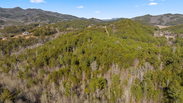 LOT19 Skyline Dr, Turtletown, TN 37391 - photo 12