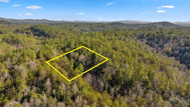 LOT19 Skyline Dr, Turtletown, TN 37391 - photo 6