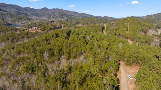 LOT19 Skyline Dr, Turtletown, TN 37391 - photo 9
