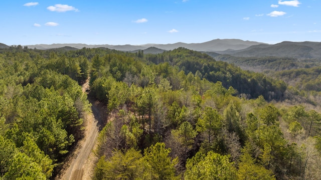 LOT19 Skyline Dr, Turtletown, TN 37391 - photo 18