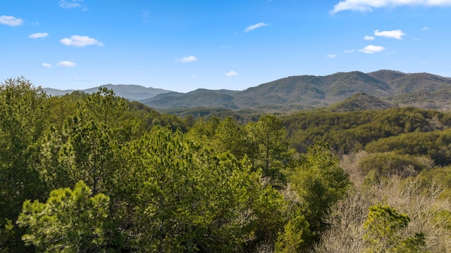LOT19 Skyline Dr, Turtletown, TN 37391 - photo 15