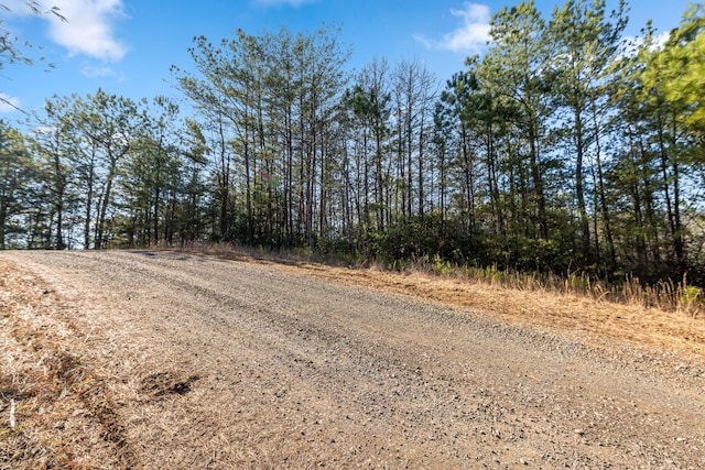 LOT19 Skyline Dr, Turtletown, TN 37391 - photo 19