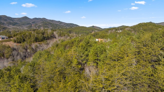 LOT19 Skyline Dr, Turtletown, TN 37391 - photo 17