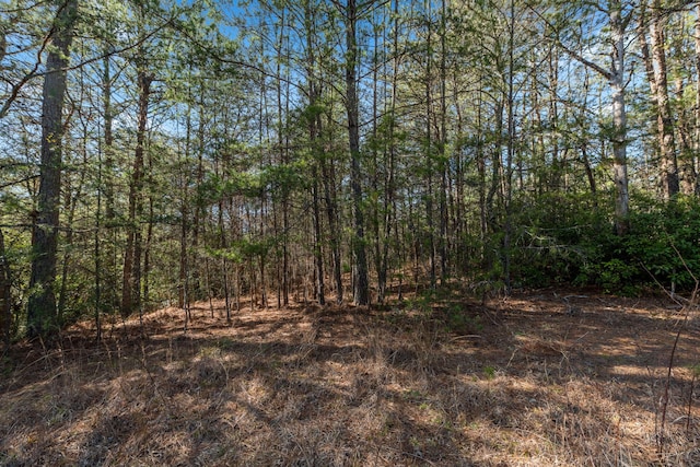 LOT19 Skyline Dr, Turtletown, TN 37391 - photo 23