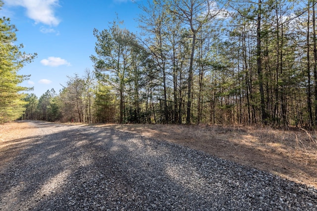 LOT19 Skyline Dr, Turtletown, TN 37391 - photo 20