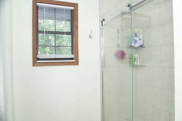 bathroom featuring a shower with shower door