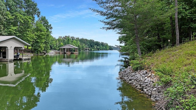 865 Ewing Rd, Spring City, TN 37381 - water view featuring a heavily wooded area and a dock
