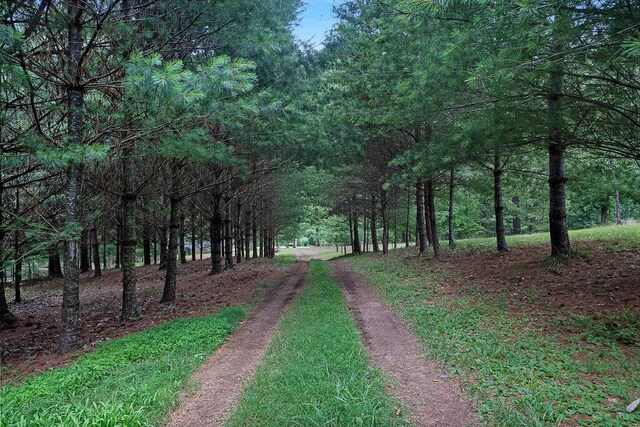 865 Ewing Rd, Spring City, TN 37381 - view of dirt / gravel road featuring a view of trees