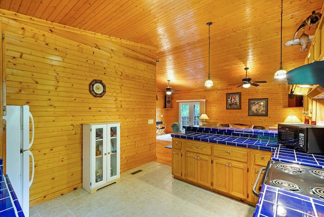 865 Ewing Rd, Spring City, TN 37381 - kitchen with french doors, black microwave, freestanding refrigerator, stove, and ceiling fan